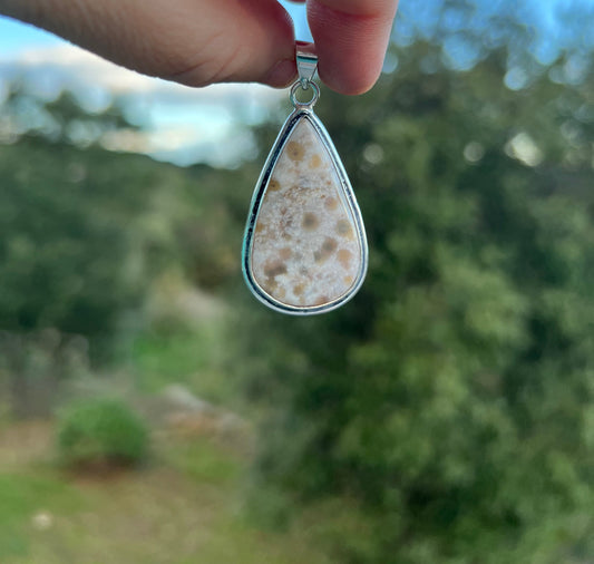 Pendentif en Jaspe Orbiculaire