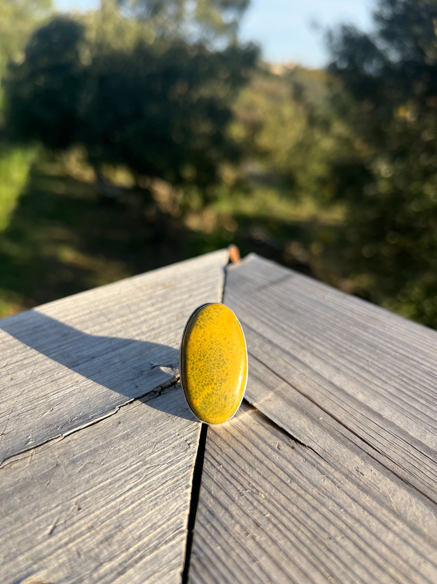 Bague en Jaspe orbiculaire taille 58