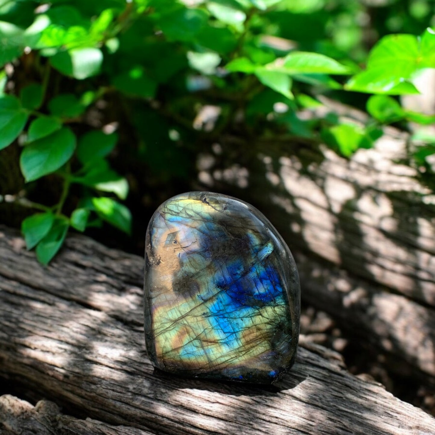 Bloc de Labradorite polie