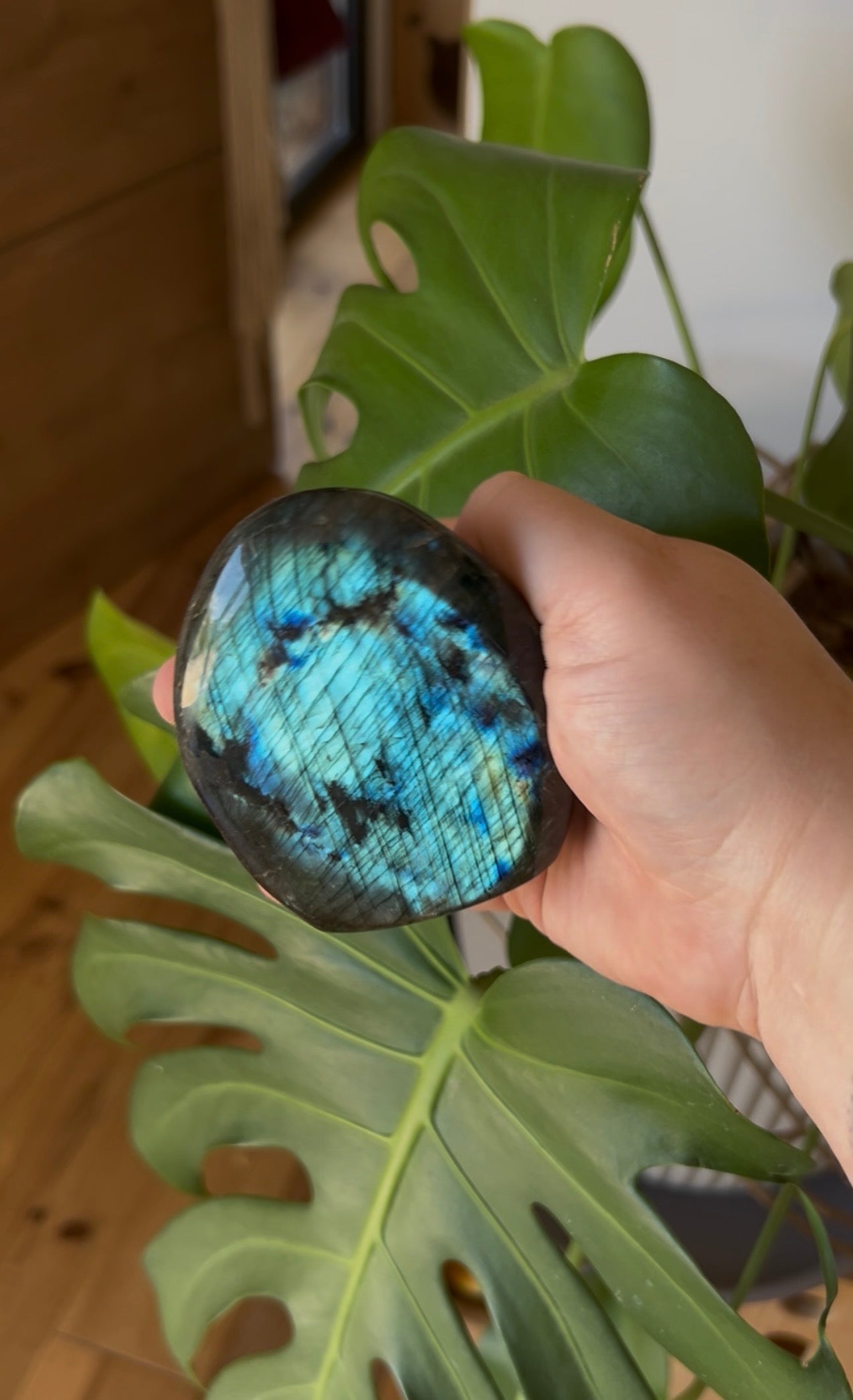 Bloc de Labradorite