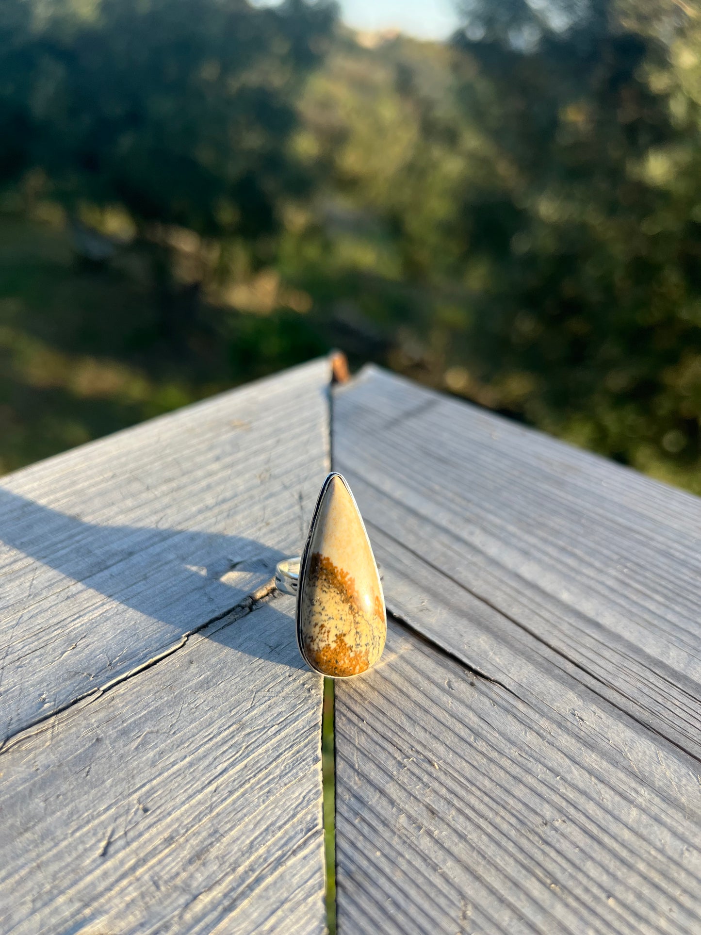 Bague en Jaspe paysage taille 60