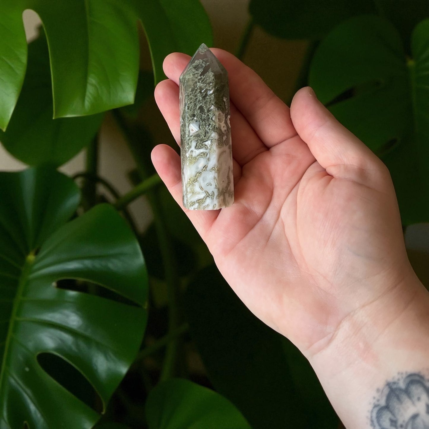 Pointe en Agate mousse