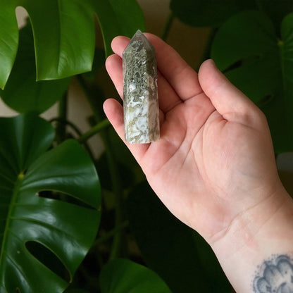 Pointe en Agate mousse