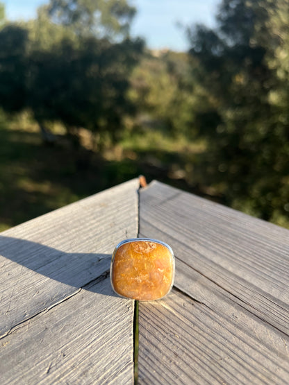 Bague en corail fossile taille 57
