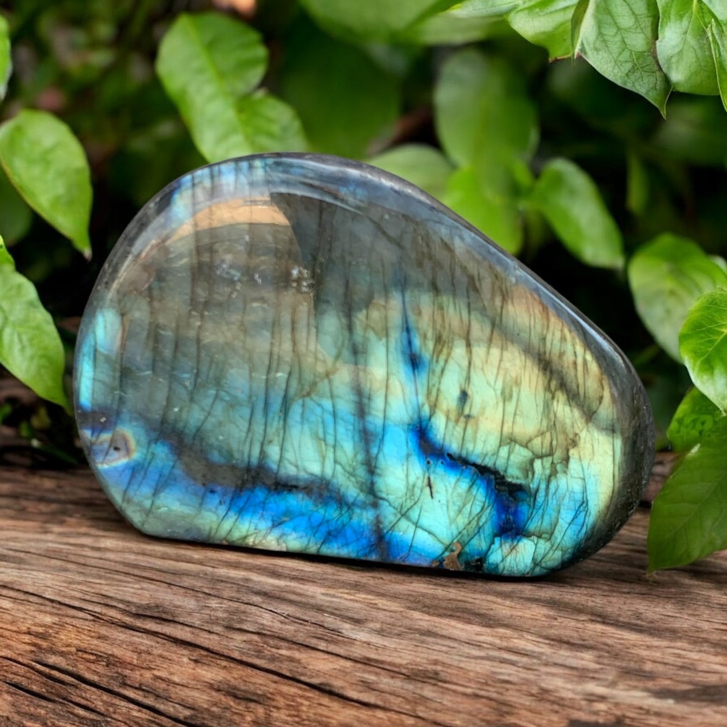 Bloc de Labradorite polie