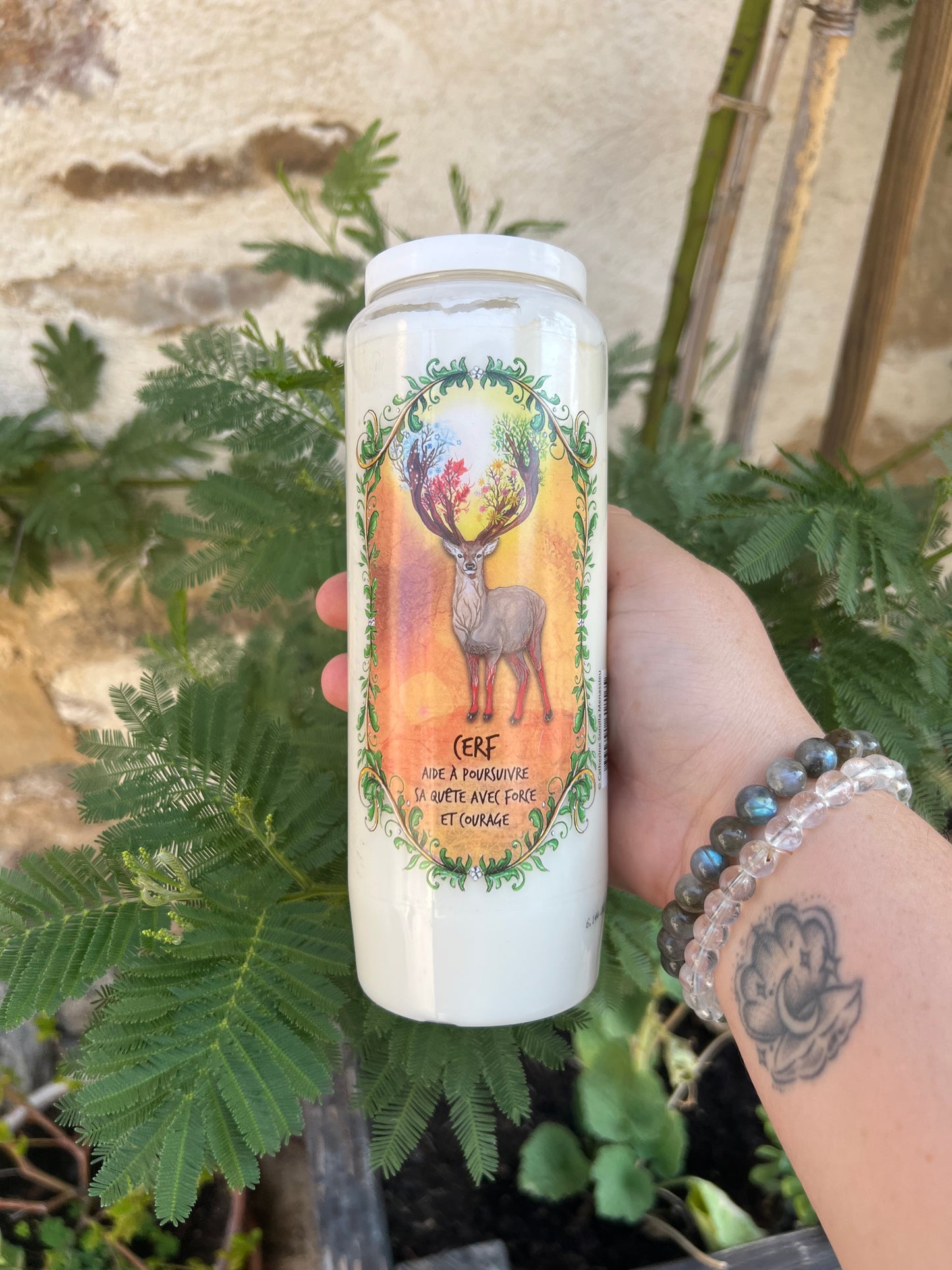 Neuvaine Cerf Animal Totem