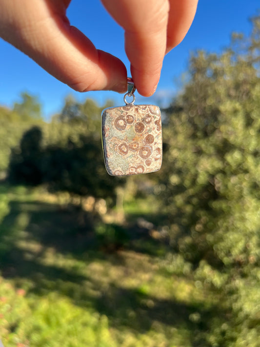 Pendentif en Jaspe Tortue