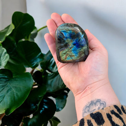 Bloc de Labradorite polie