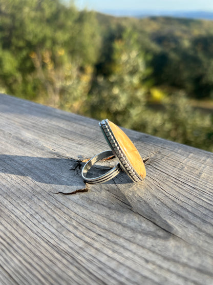 Bague en Jaspe paysage taille 67