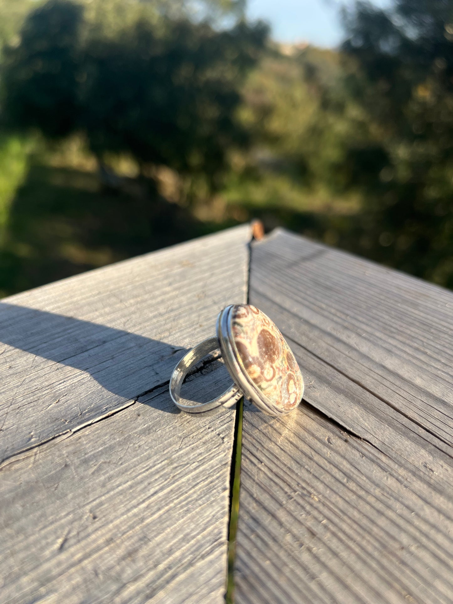 Bague en Jaspe tortue taille 65