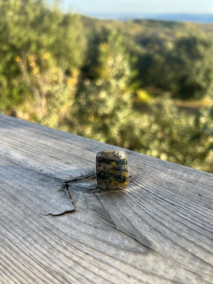 Bague en Jaspe sang de dragon taille 53