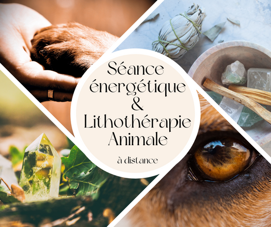 Remote energy session &amp; animal lithotherapy 