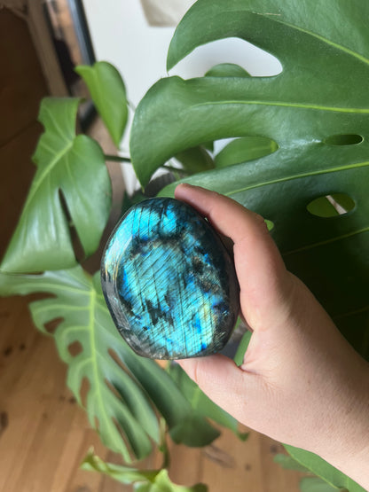Bloc de Labradorite