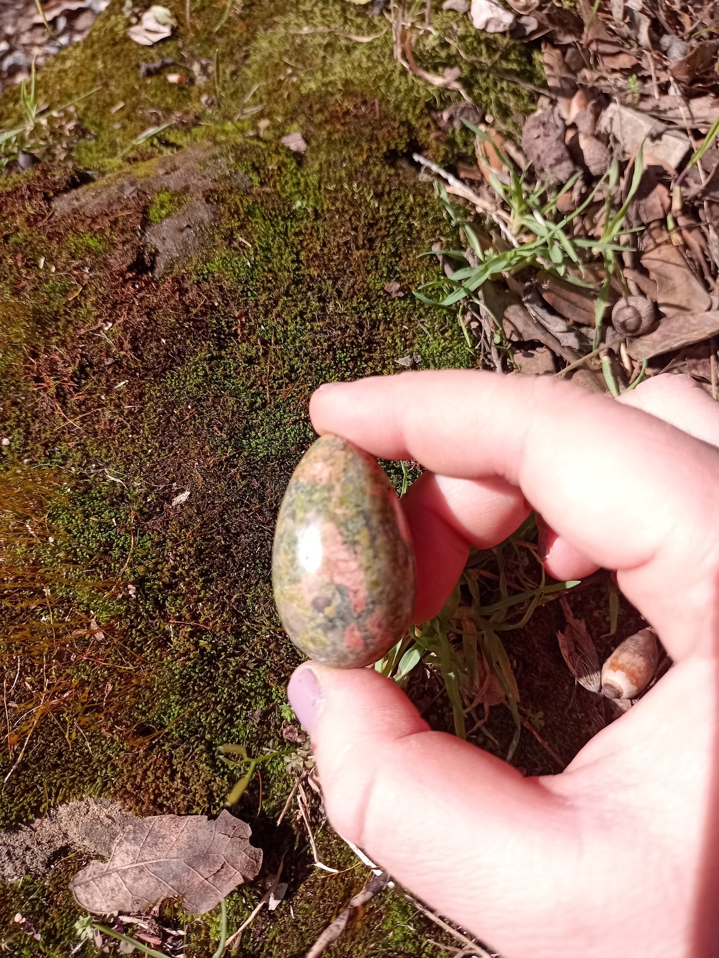 Petit œuf en Unakite