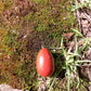 Mini œuf en Jaspe Rouge