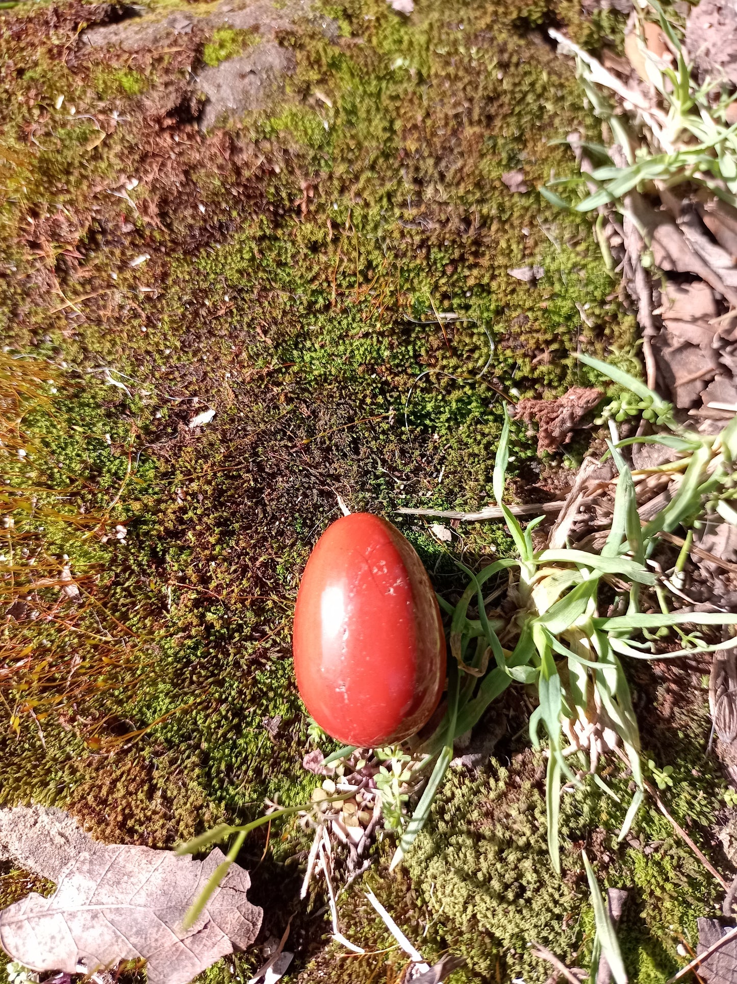 Mini œuf en Jaspe Rouge