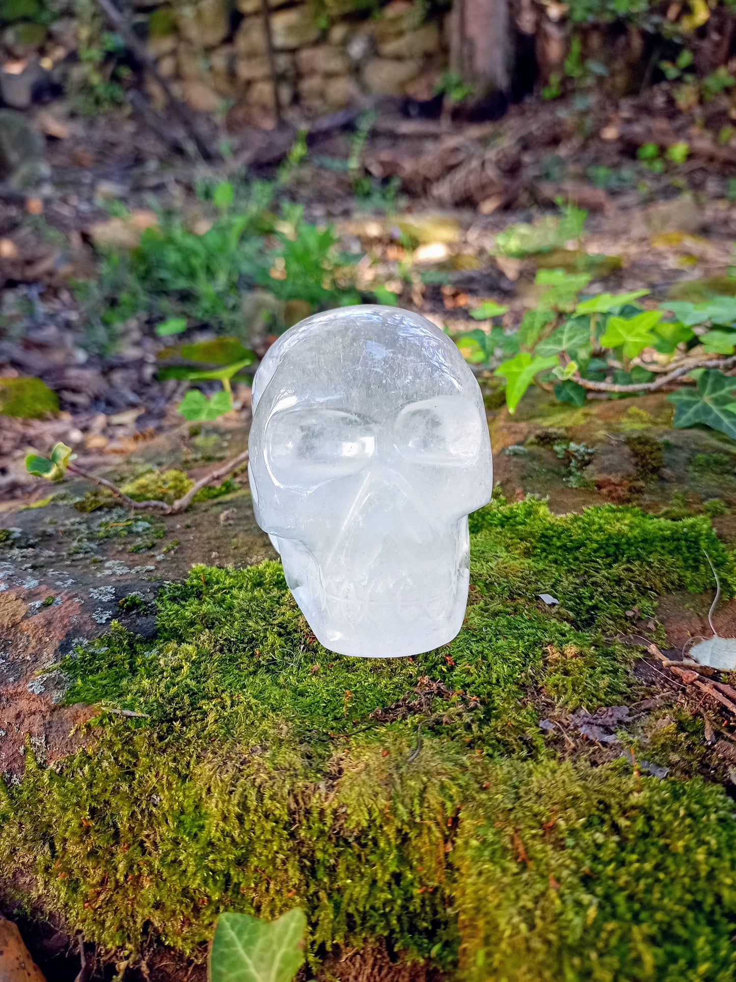 Crâne en Cristal de Roche - Quartz Transparent