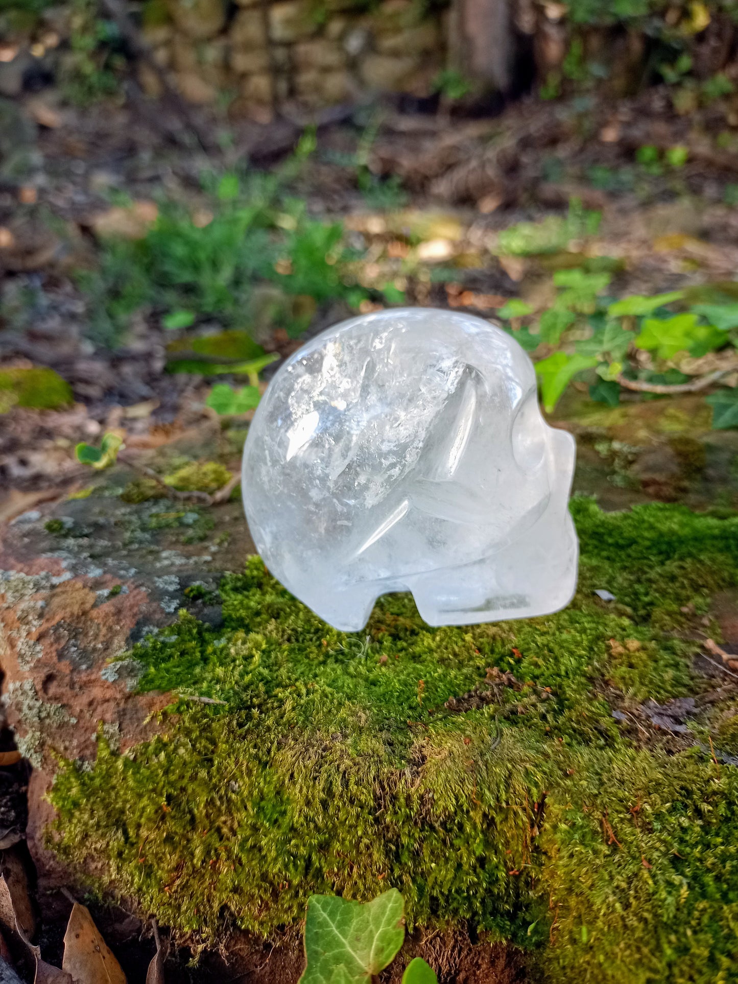 Crâne en Cristal de Roche - Quartz Transparent