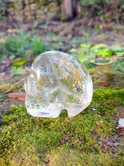 Crâne en Cristal de Roche à inclusion - Quartz transparent