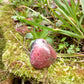 Galet de Rhodonite