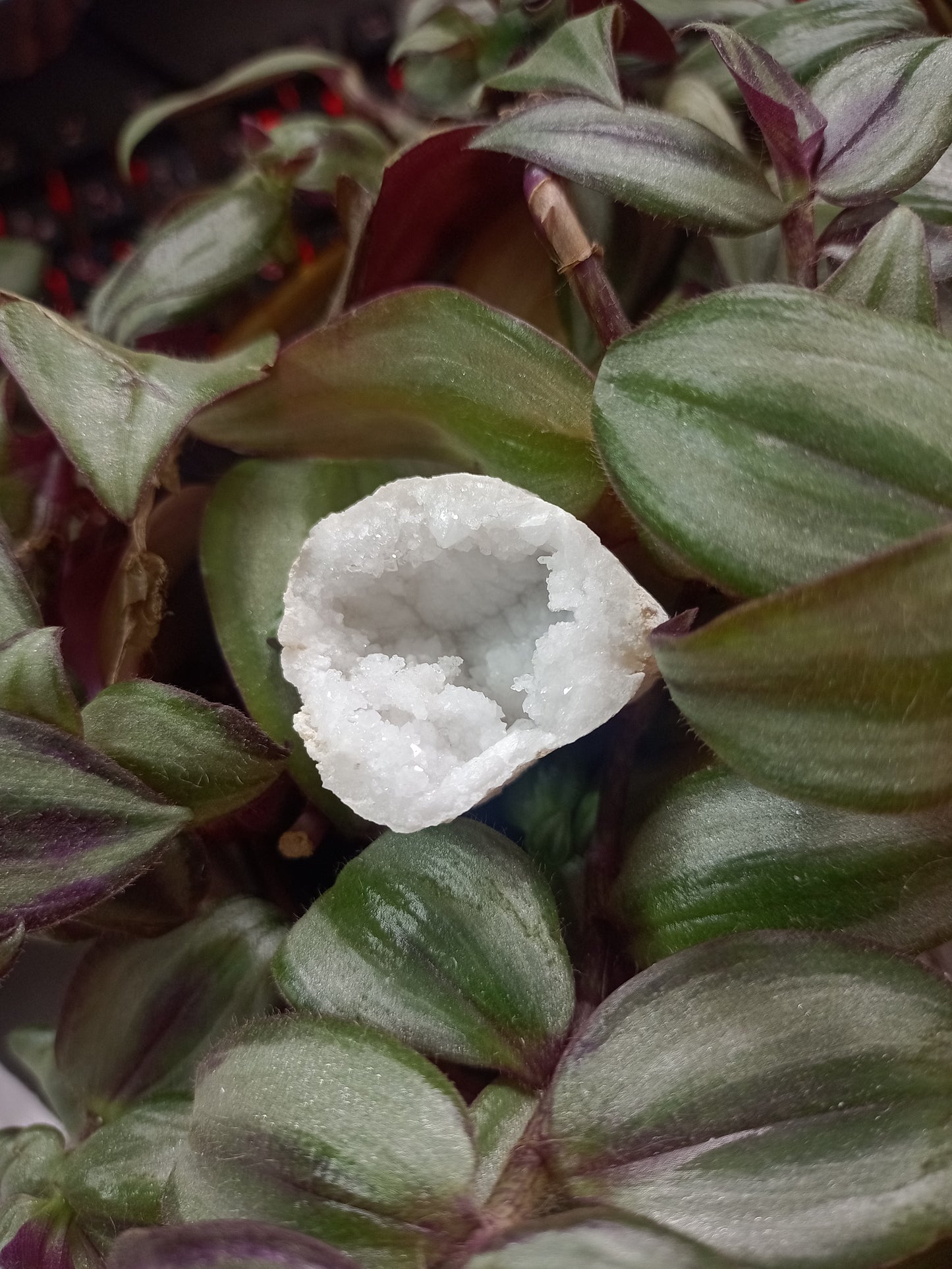 Mini Géode en Quartz Transparent - Cristal de Roche