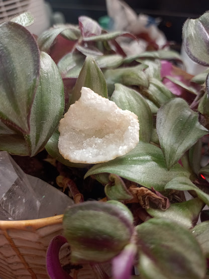 Mini Géode en Quartz Transparent - Cristal de Roche